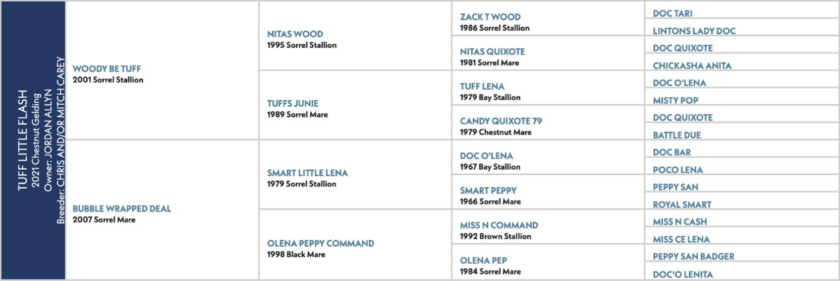 Pedigree chart for Tuff Little Flash, a 2021 chestnut gelding by Woody Be Tuff out of Bubble Wrapped Deal.