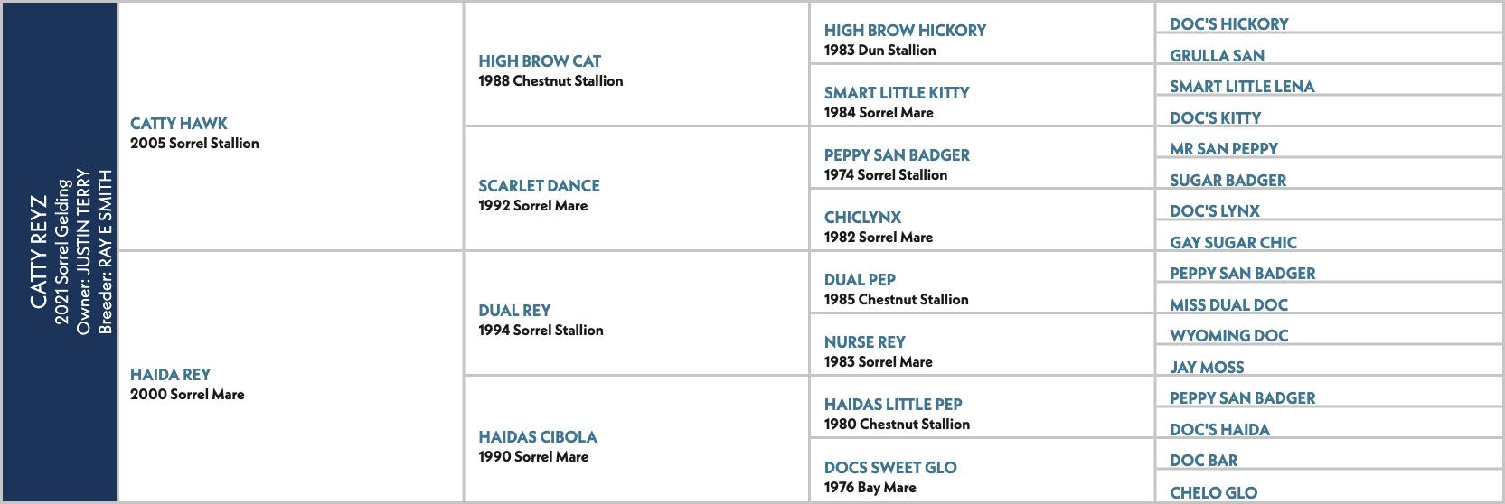 Pedigree chart for Catty Reyz, a 2021 sorrel gelding by Catty Hawk out of Haida Rey.