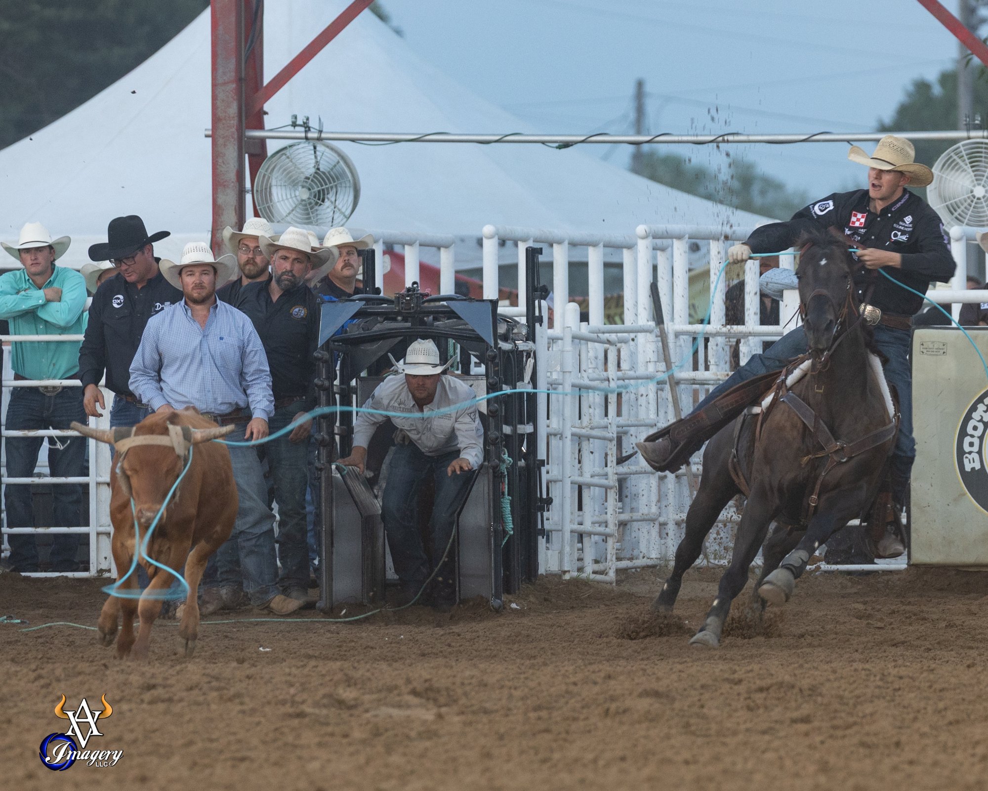 Brenten Hall heads a steer on Ernie at the Sikeston rodeo in Missouri.