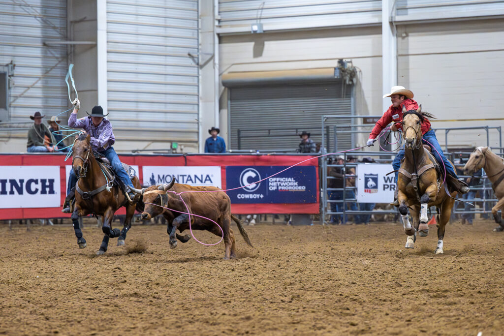 Header Clayton Van Aken and heeler Trey Yates rope a steer in an indoor arena in Loveland, Colorado.