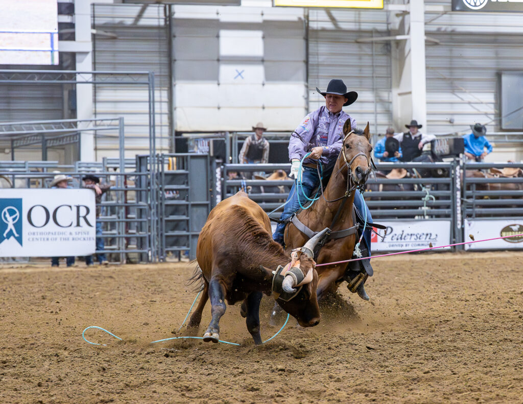 Heeler Trey Yates throws his loop as a steer is turned in an indoor arena.