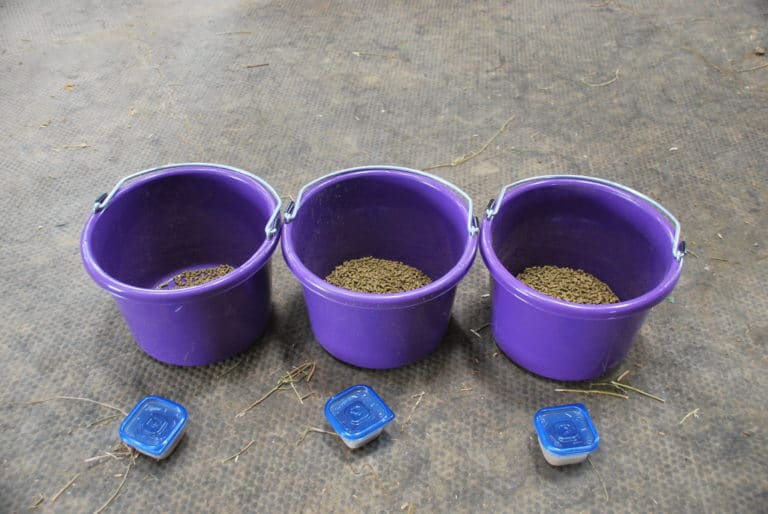 supplements; feed; ration; meal; chore efficiency; feeding