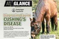 At a Glance: Diagnosing Equine Cushing's Disease