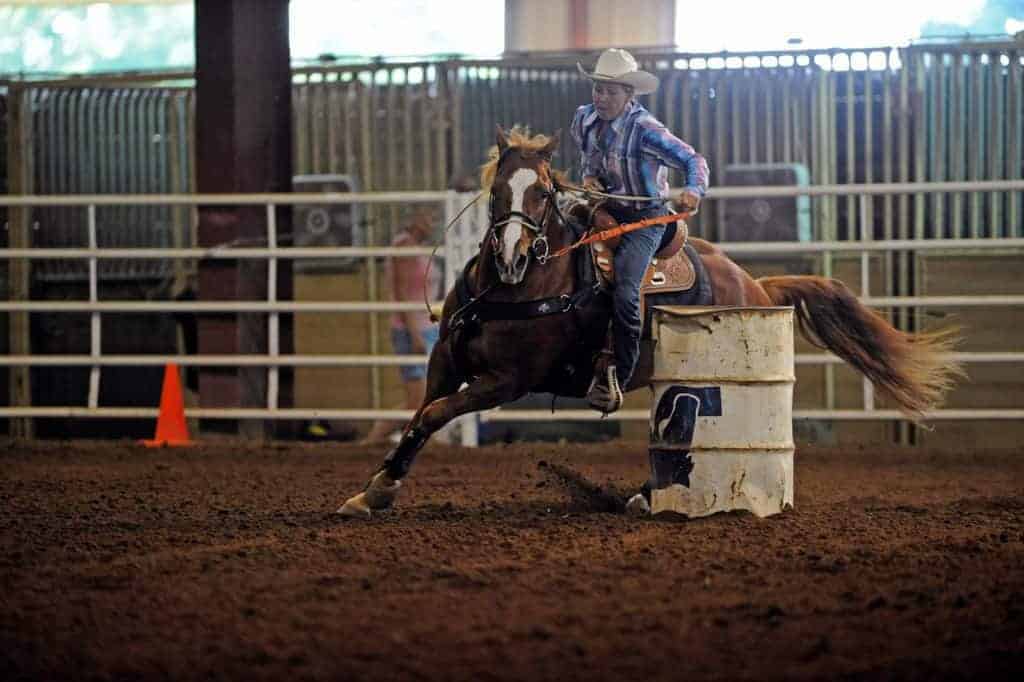 Caring for the Disciplines: Western Performance