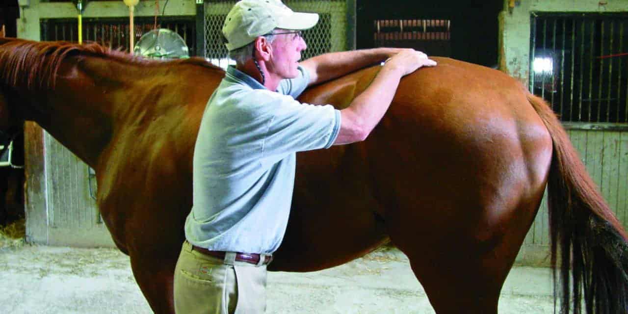 Efficacy of Manual Therapies on Back Pain (AAEP 2011)