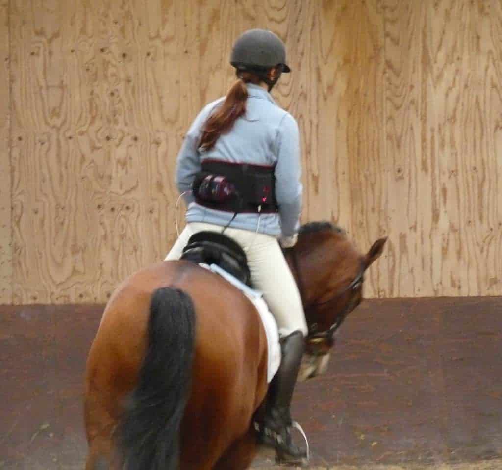 Evaluating Horse