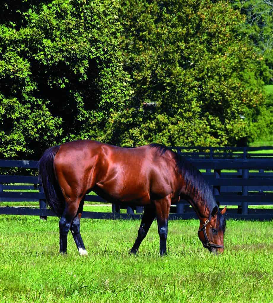 Applying Pasture Analysis