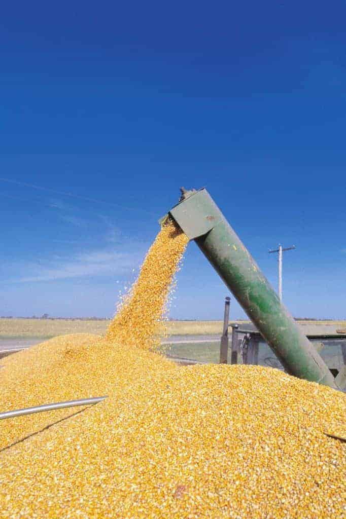 UDSA: More Corn to be Used for Fuel Than Feed