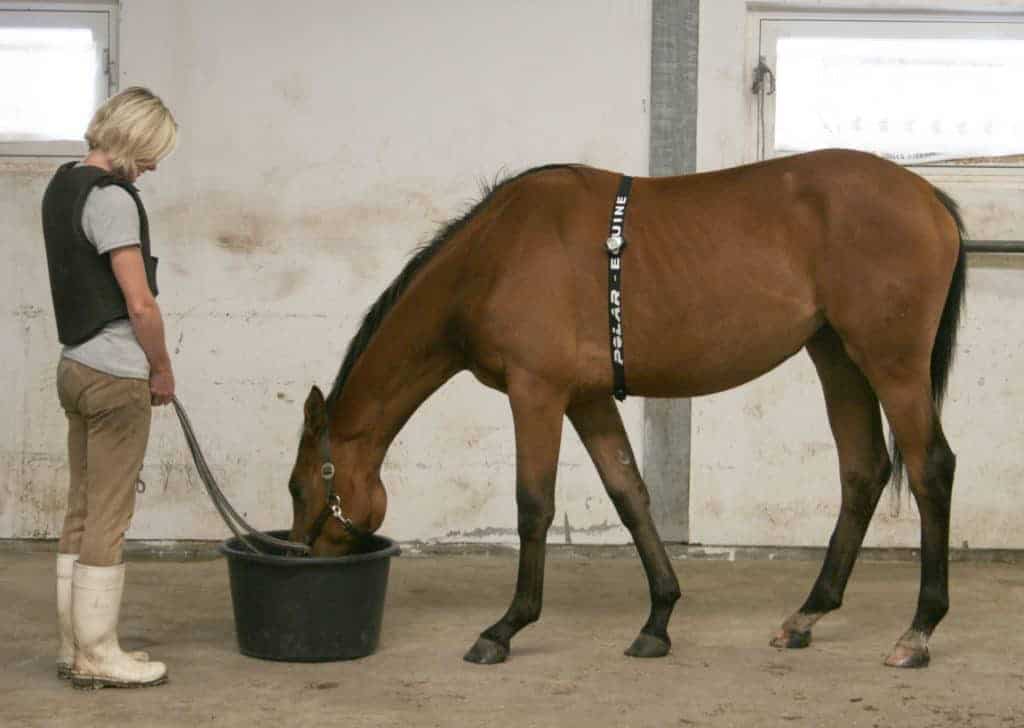 The Effect of Training Partners on Social Separation