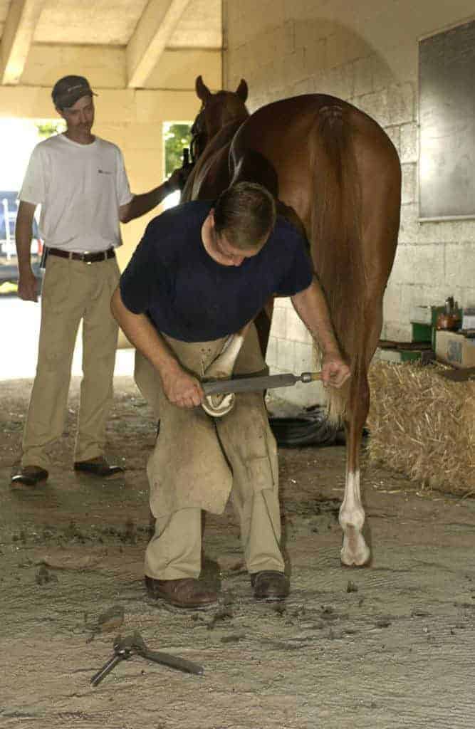 Canadian Association of Professional Farriers Launched
