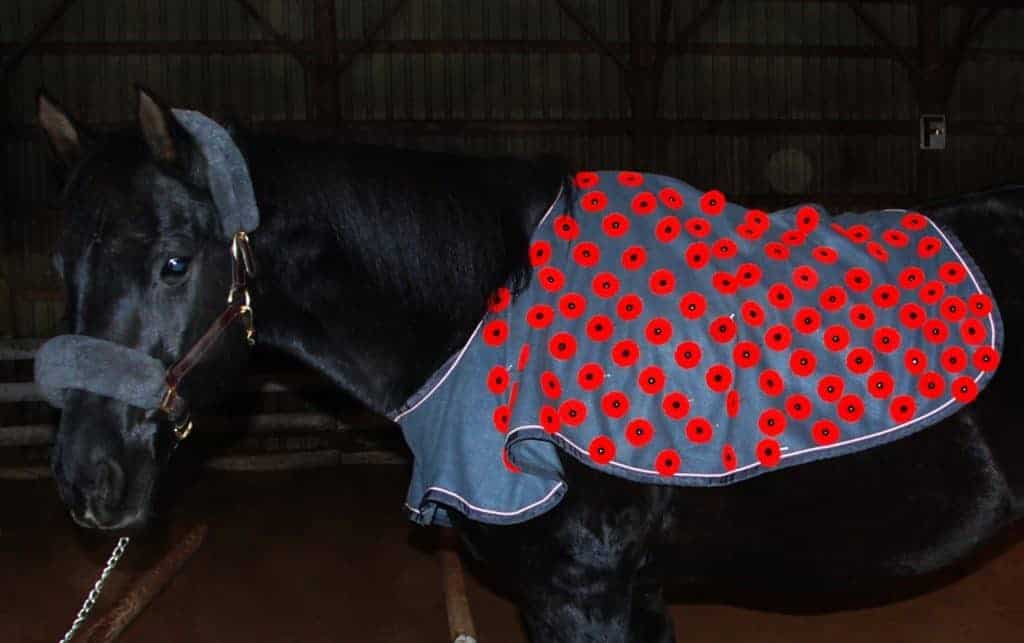Equine Contributions to Military Missions Monumental