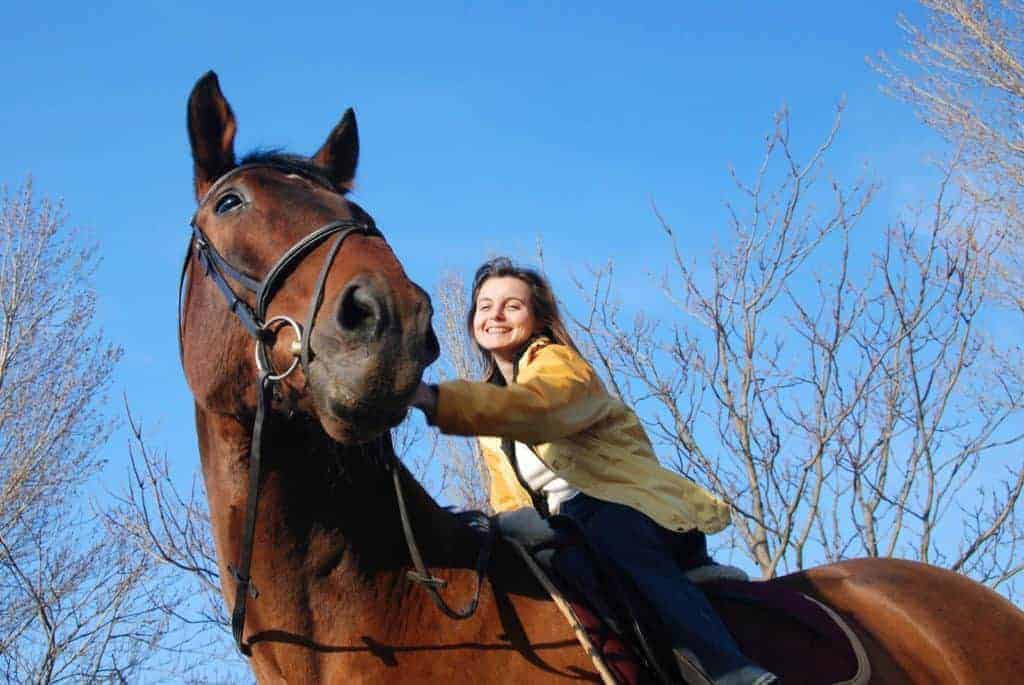 Study: Horses Could have Greater Trust in Familiar Riders