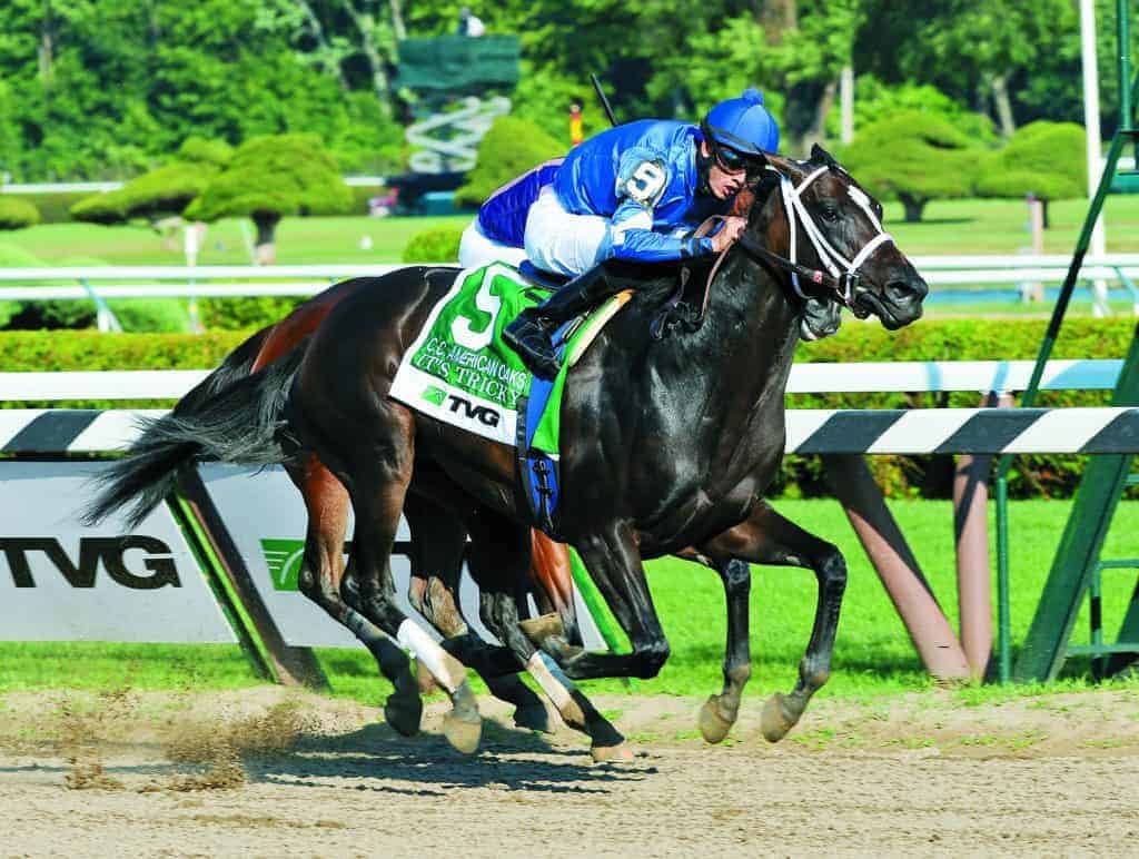 Racehorse It's Tricky Retired due to Condylar Fracture