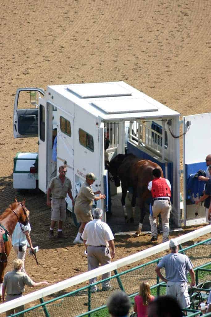 Data: 'Slight Drop' in Fatal Racehorse Injuries