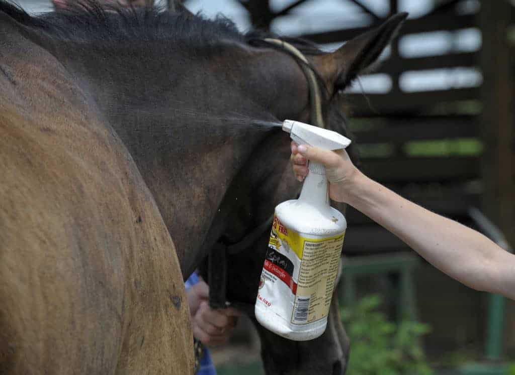 Eighth Equine WNV Case of 2012 Confirmed in Kentucky