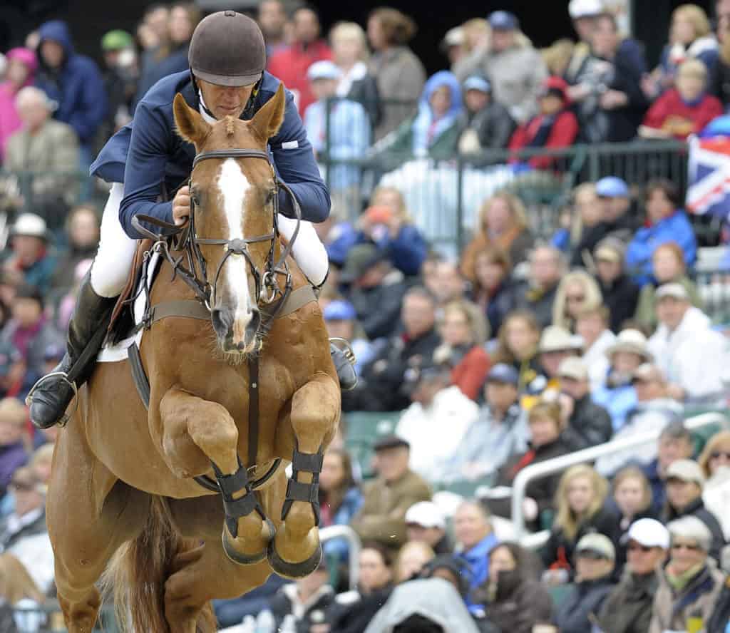 Audiences' Effects on Horse and Rider Stress Levels