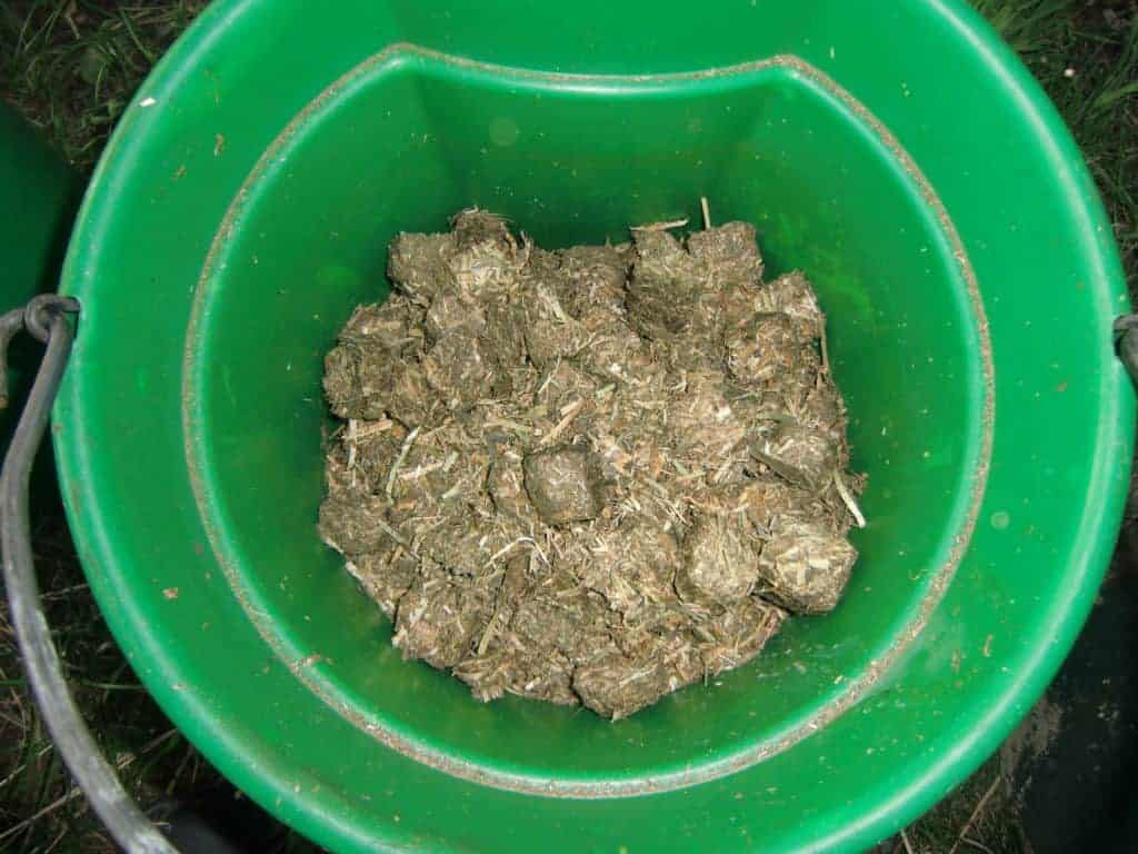 Forage-Based Total Mixed Rations: Economical and Effective