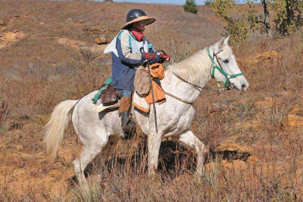 Memories of Elmer Bandit