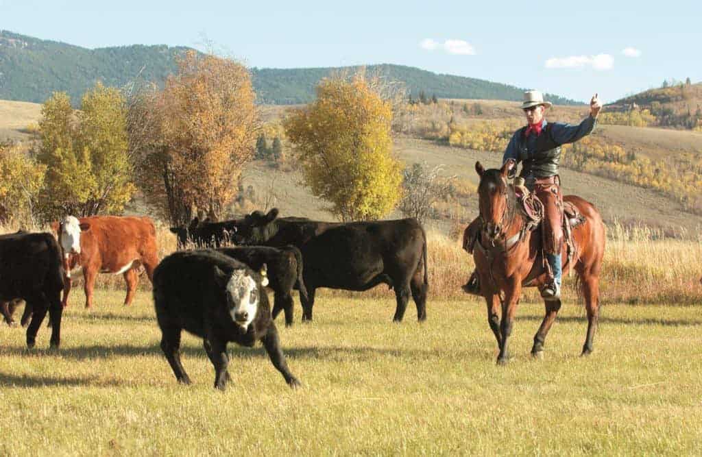 Dude Ranches Lead the Way in Eco-Friendly Tourism