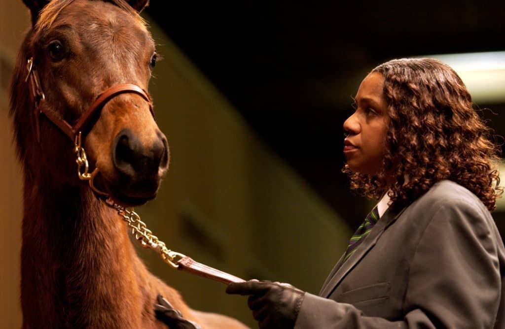 Study: Young Horses Can't Read Subtle Human Body Cues