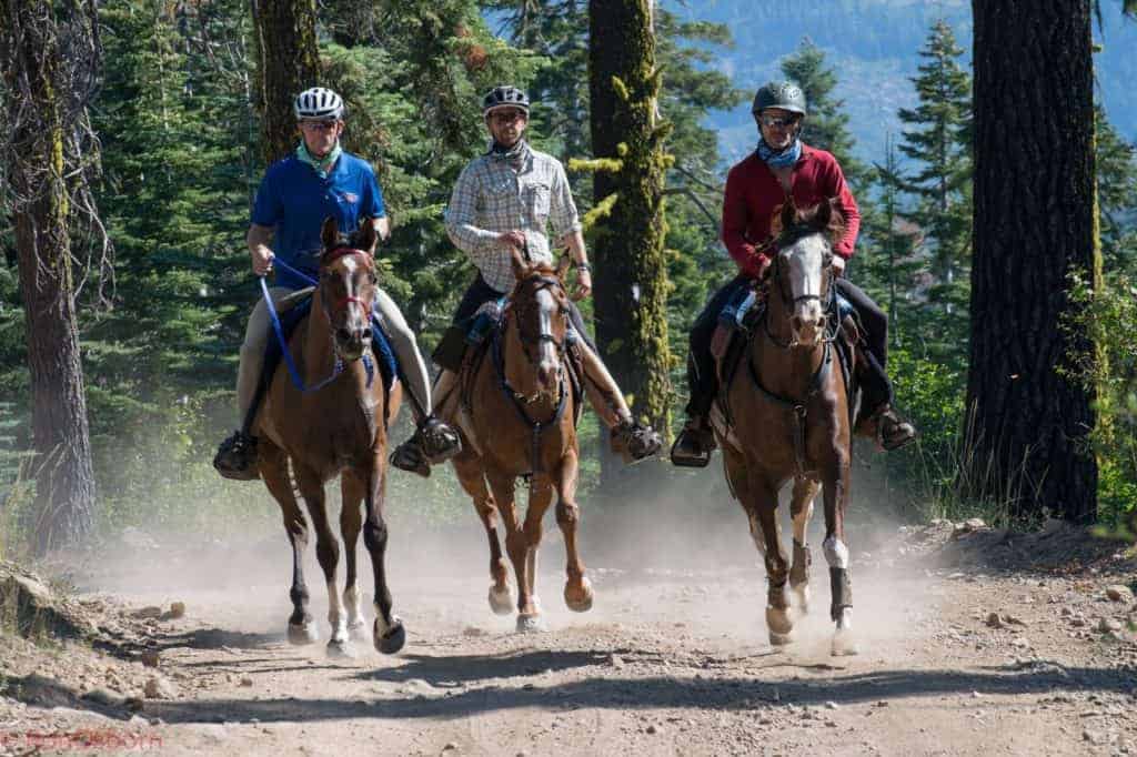 Toth and Take A Break Win Tevis Cup in Soaring Temperatures