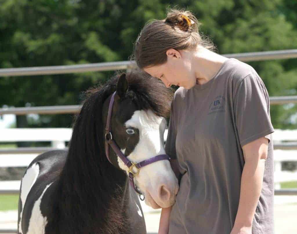 Horses Teaching Humans about Leadership