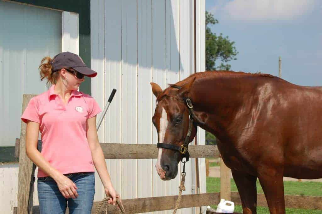 Preventing Heat-Related Problems in Horses