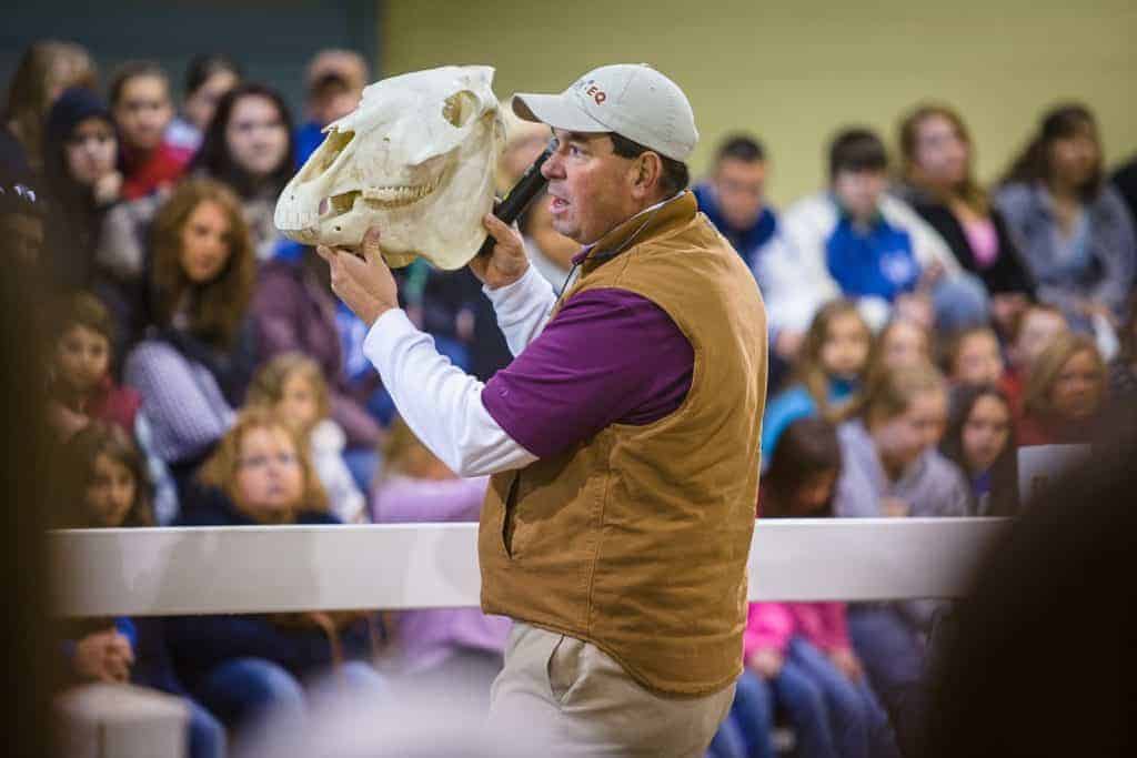 Ky. Equine Youth Festival Celebrates the Horse