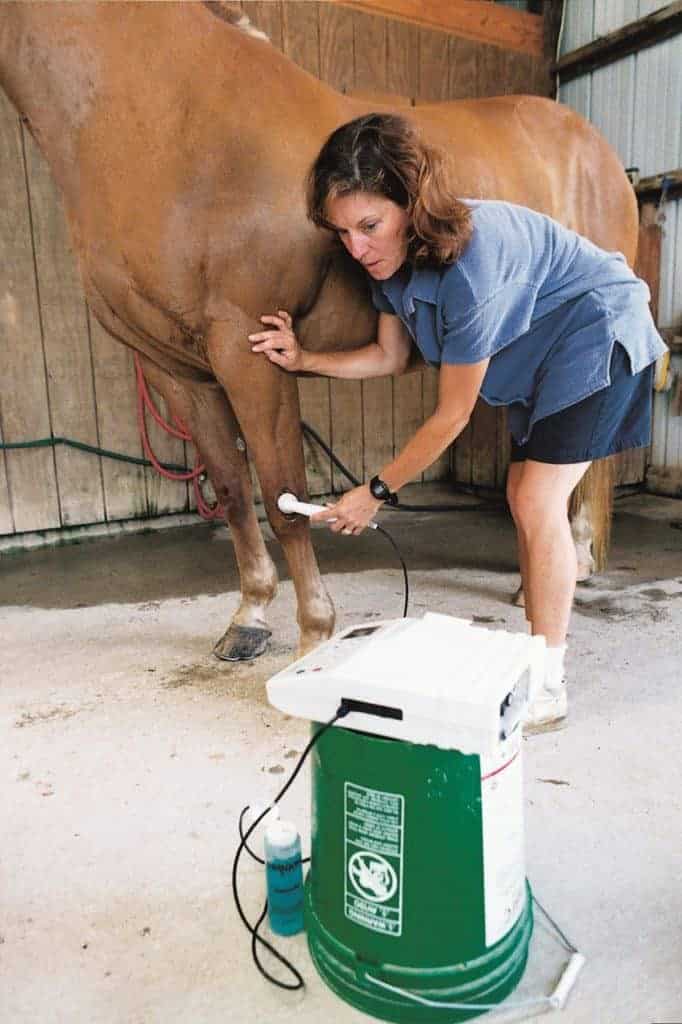 Therapeutic Ultrasound Settings for Horses Identified