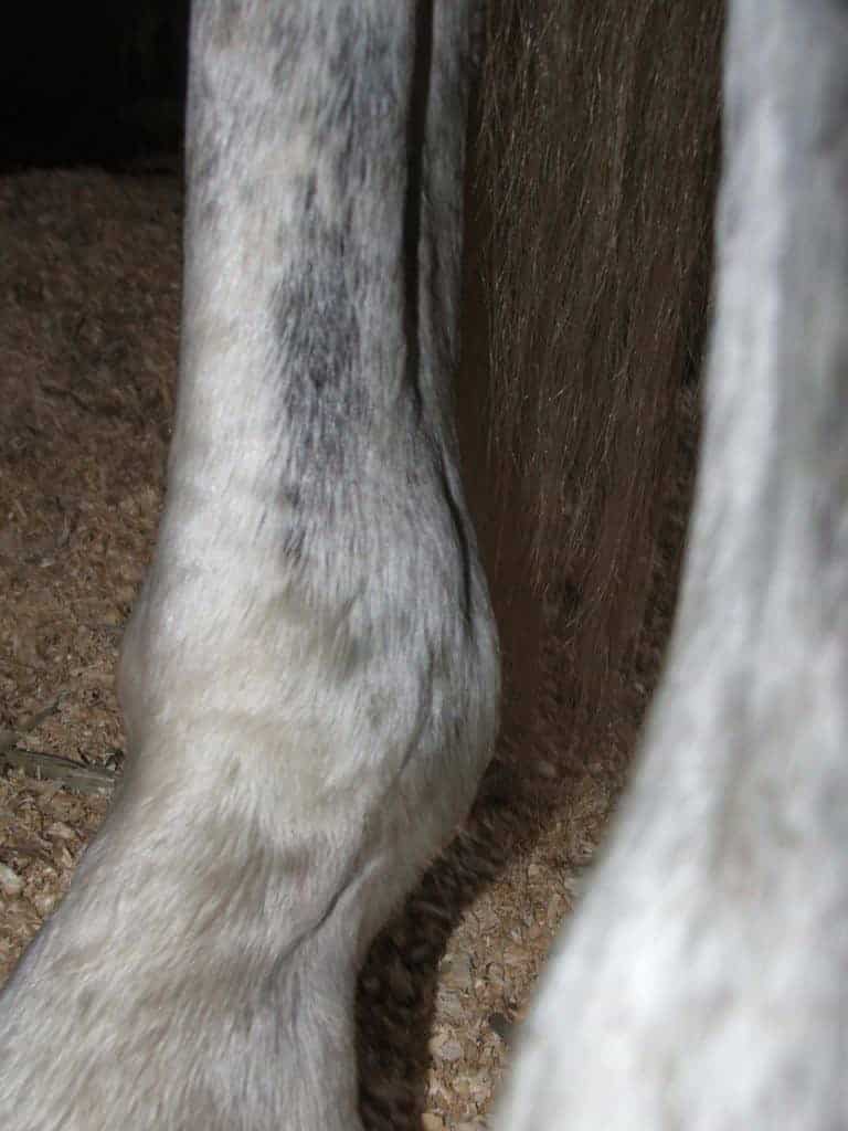 Resolving a Common Swelling