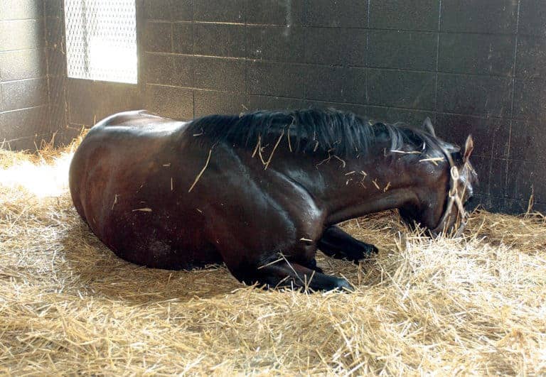 LEGACY-VIDEO-ID-599-colic.jpg