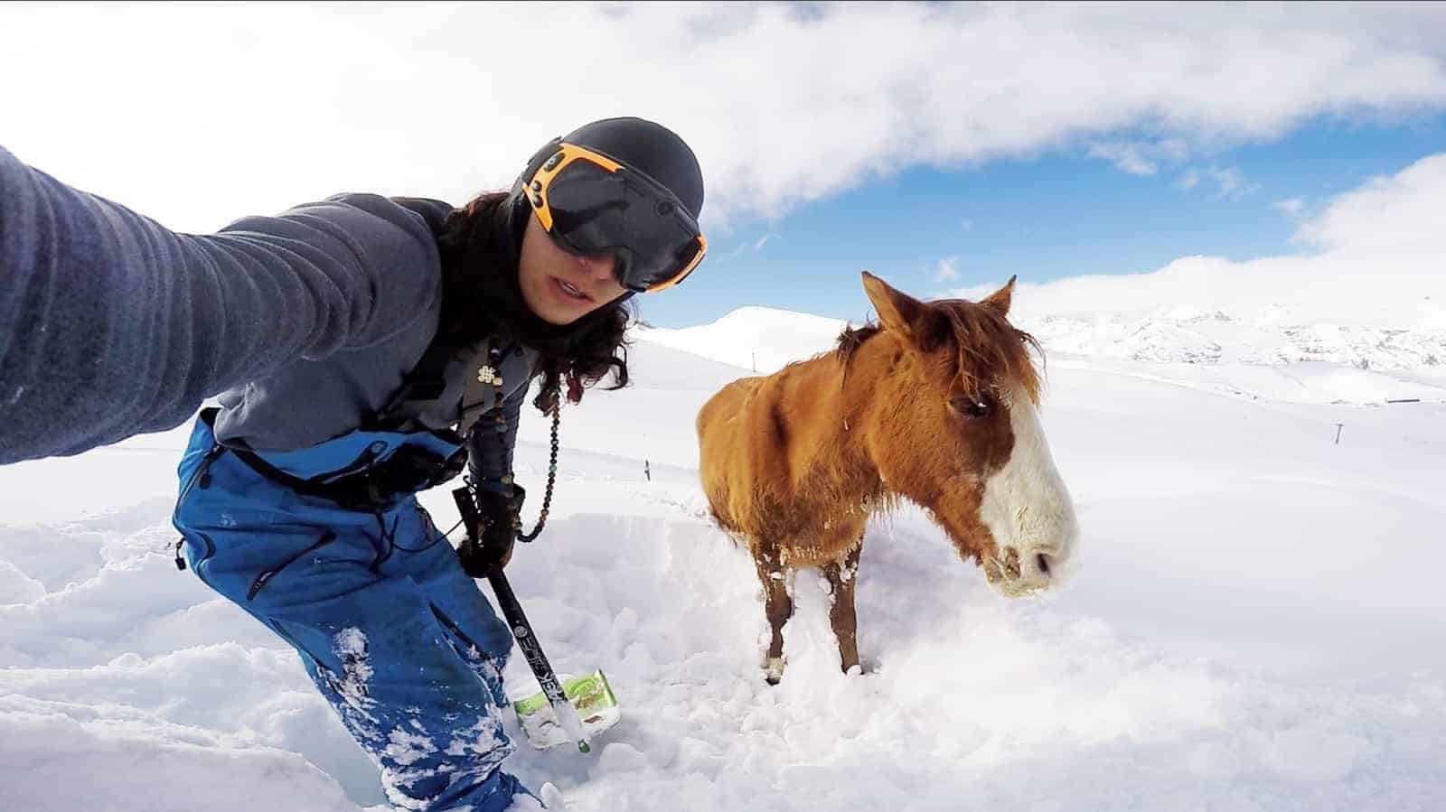 Snowboarder Rescues Snowbound Horse – The Horse