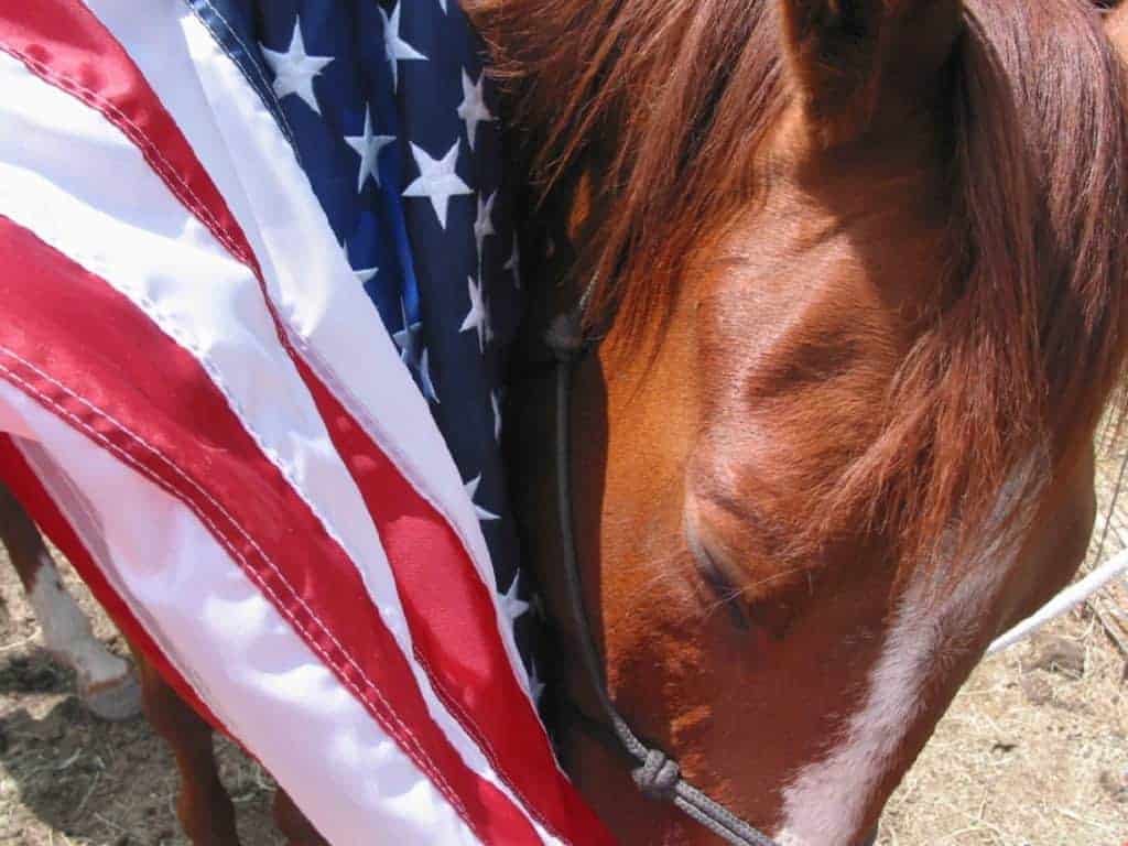 Horses Helping Veterans: Yesterday and Today