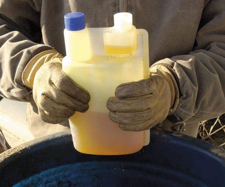 Fat Options to Help Your Horse Hold Weight During the Winter