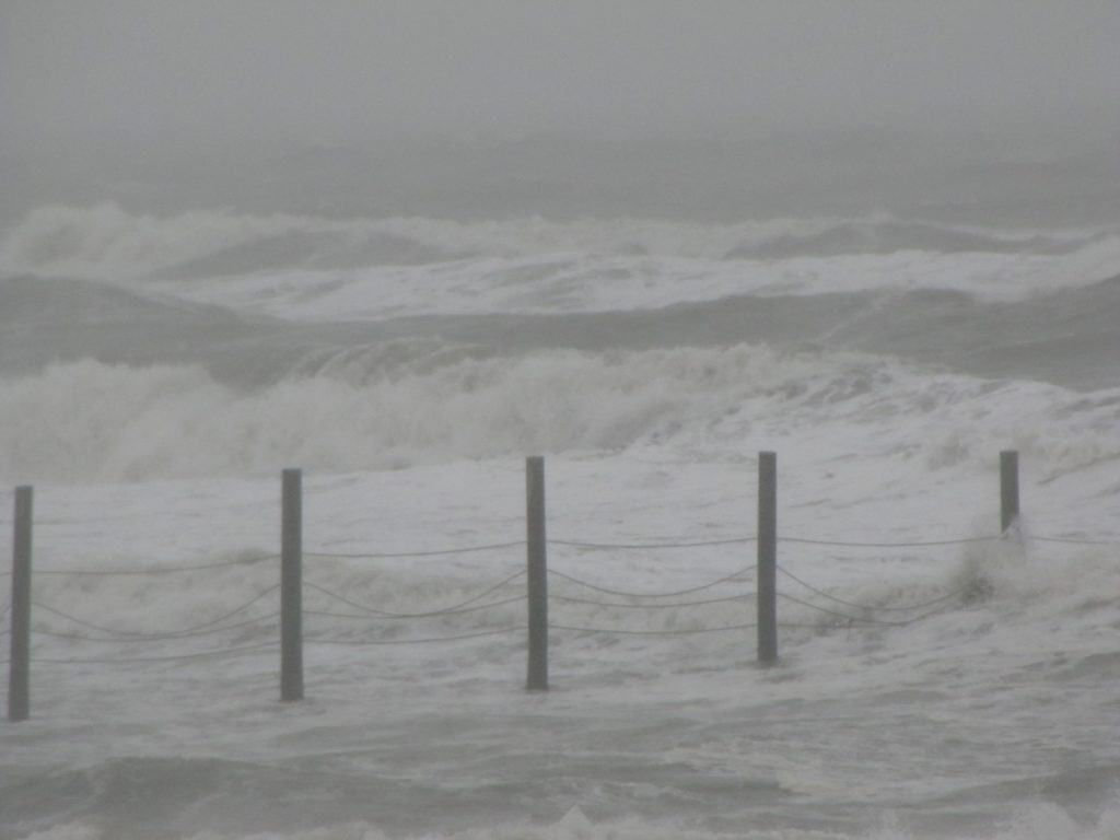 East Coast Horses Weather the Storm