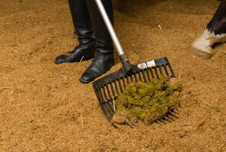 Seasonal Manure Changes