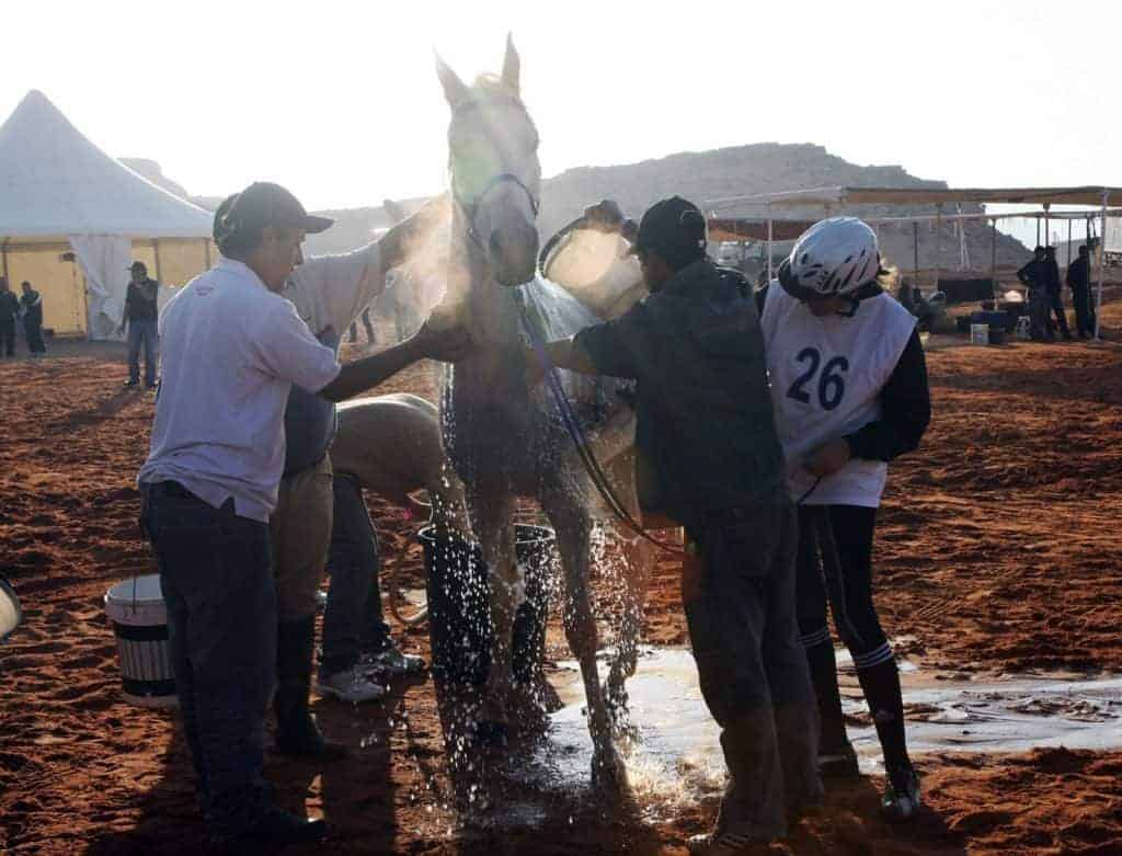 Tevis Cup Offers Field Research Opportunities