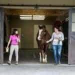 Time-Saving Tips: Equine Veterinary and Farrier Visits
