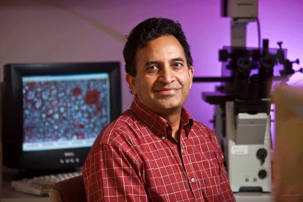 Palli Named Chair of UK Department of Entomology