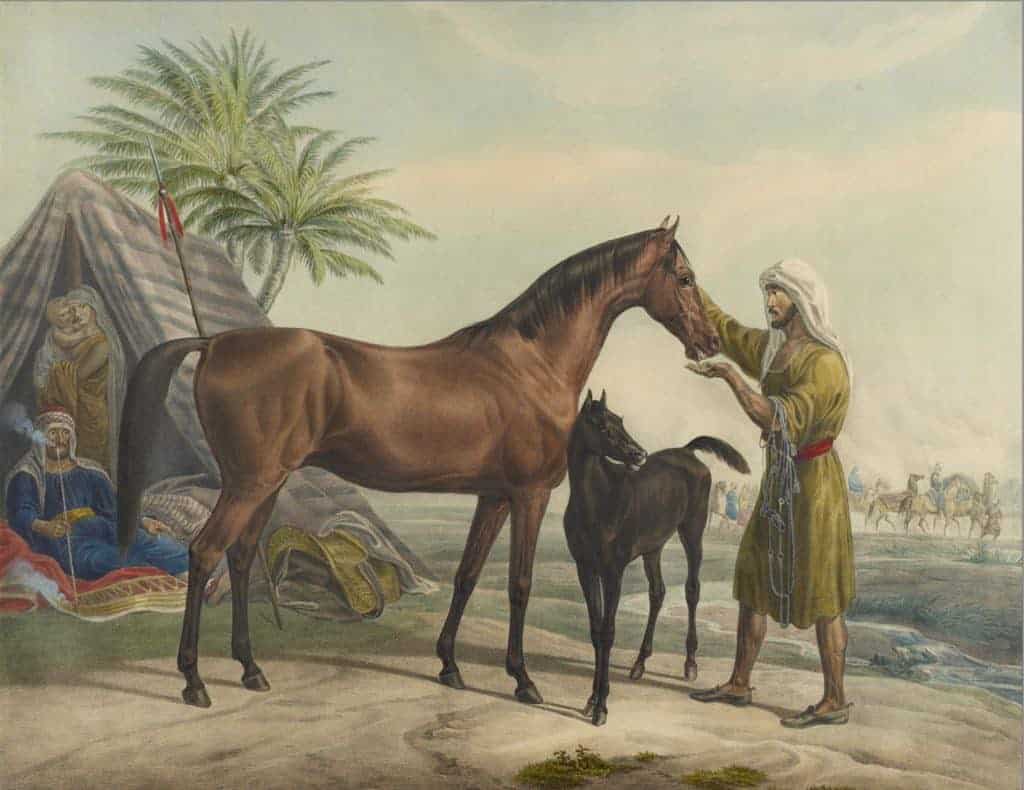 Arabian Roots Exhibit on Display at UK