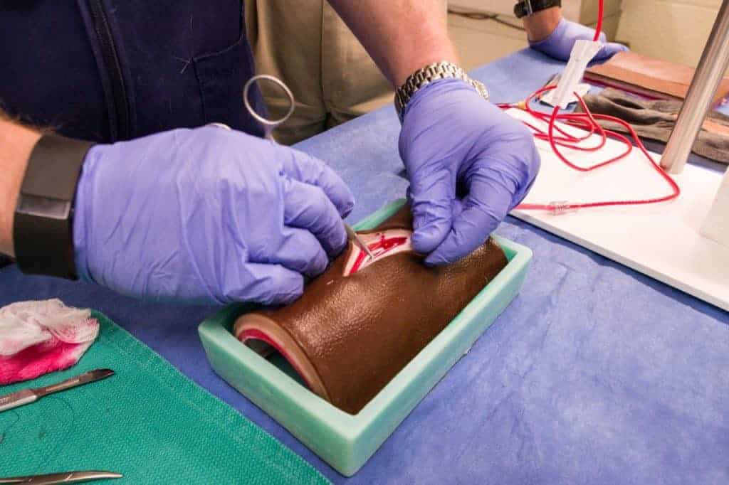 CSU Equine Surgeons Develop Lifelike Surgical Models