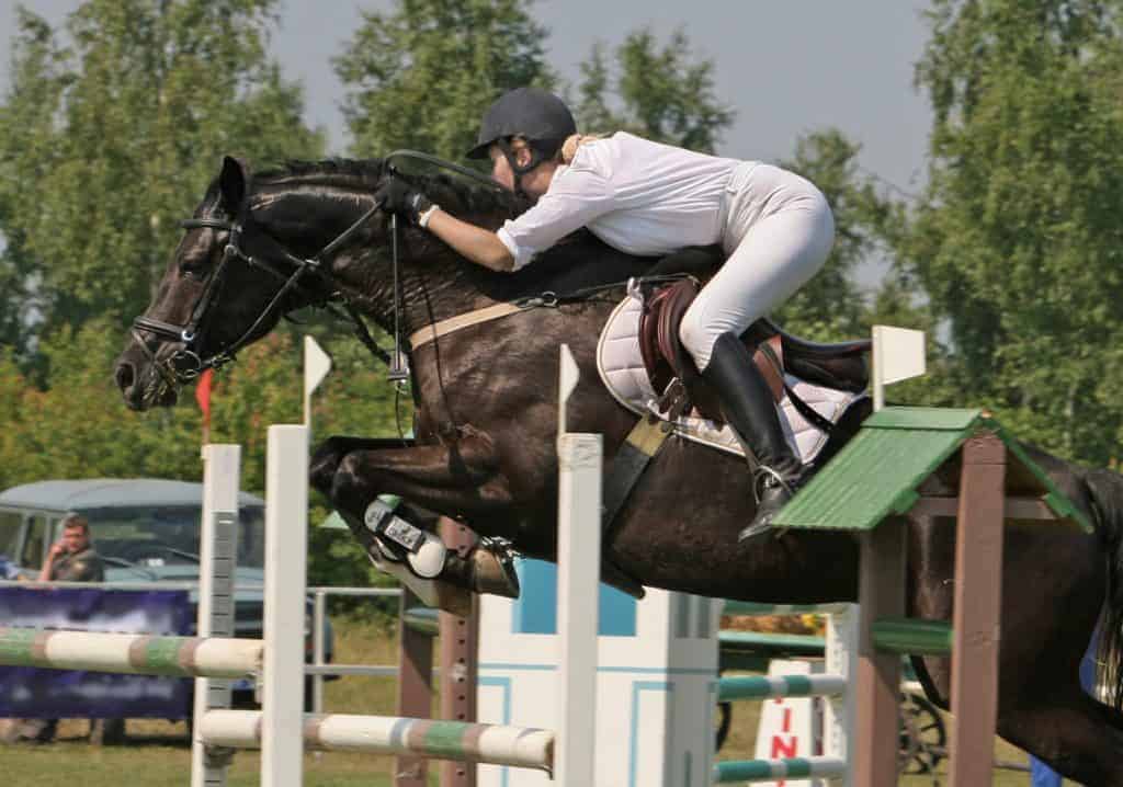 Researchers Debut Simplified Equine Temperament Test