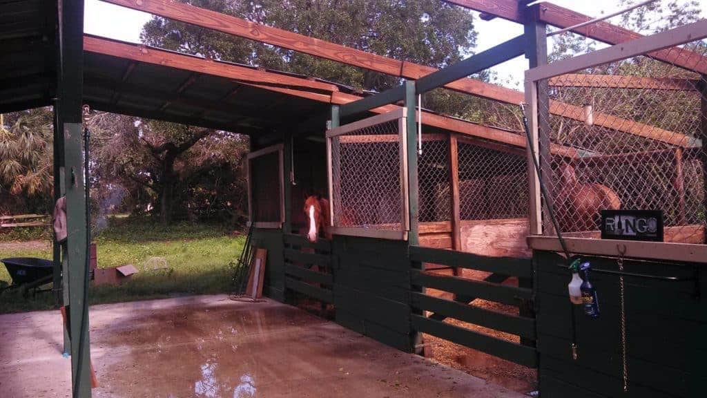 Early Season Tornado Damages Florida Horse Farm