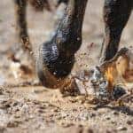 The Trouble With Mud