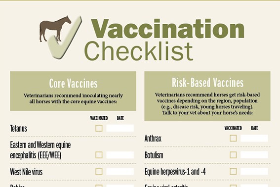 2015_MiniInfographic_Vaccinations_TN