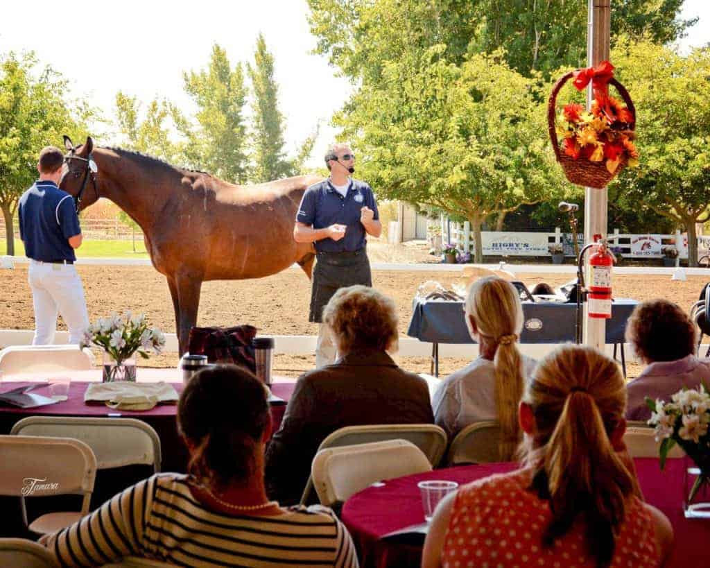 USA Equestrian Trust Opens 2015 Grants for Equine Nonprofits