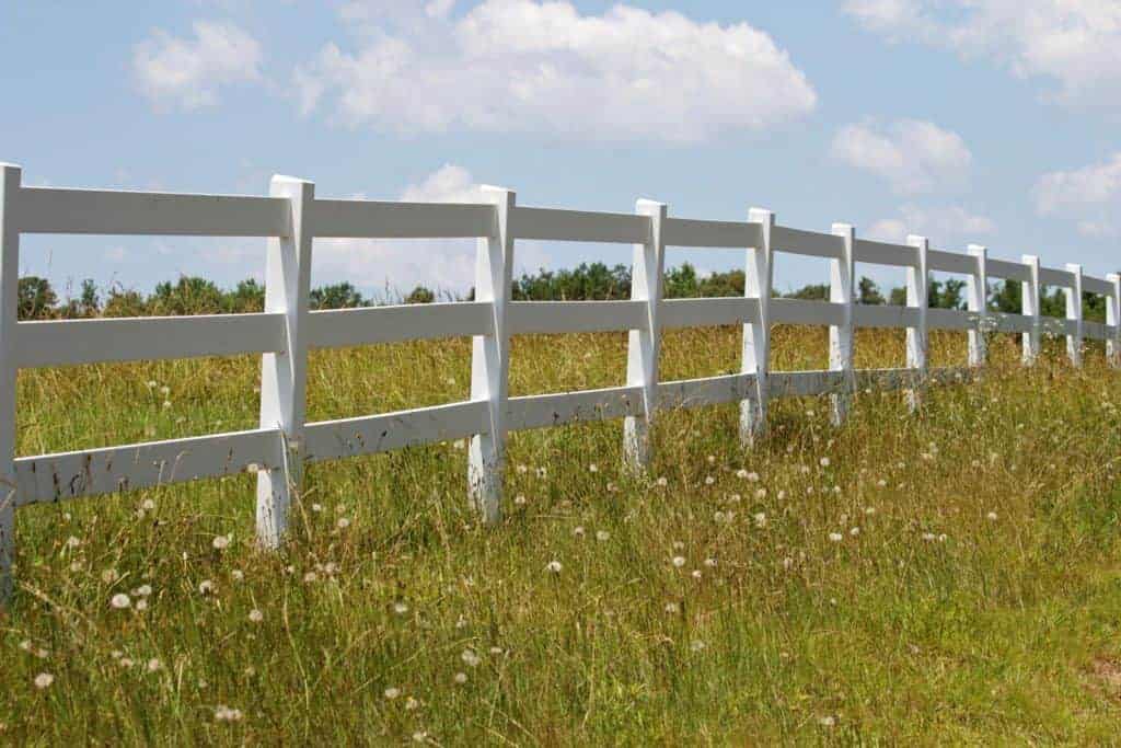 Horse Fencing Options 101