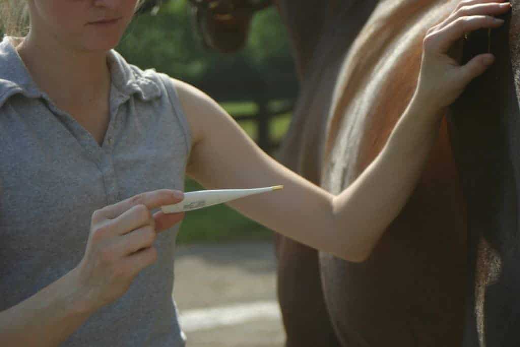 Holding Termometer