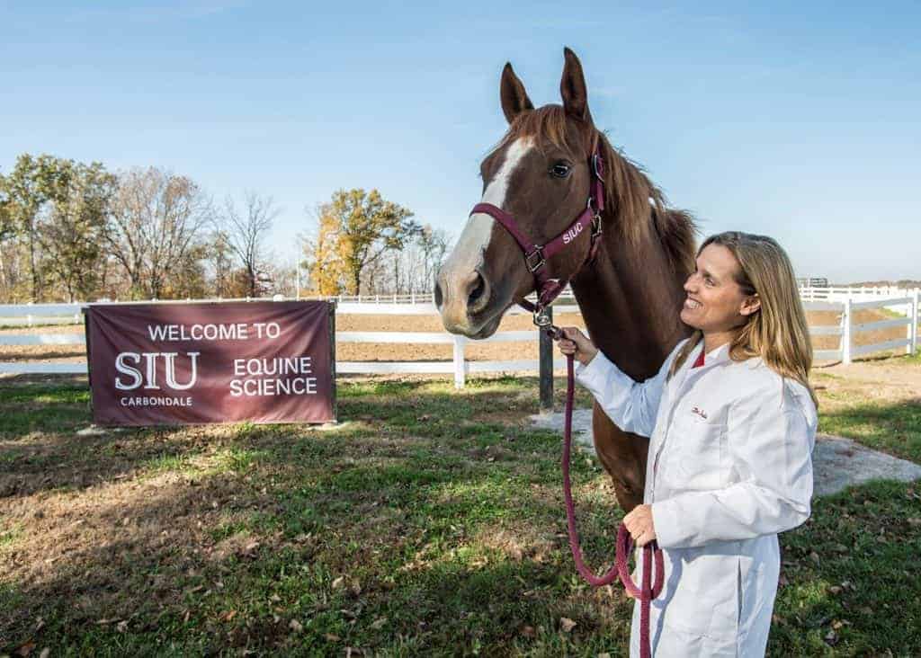 SIU Research Looks to Solve Equine Colic Mystery