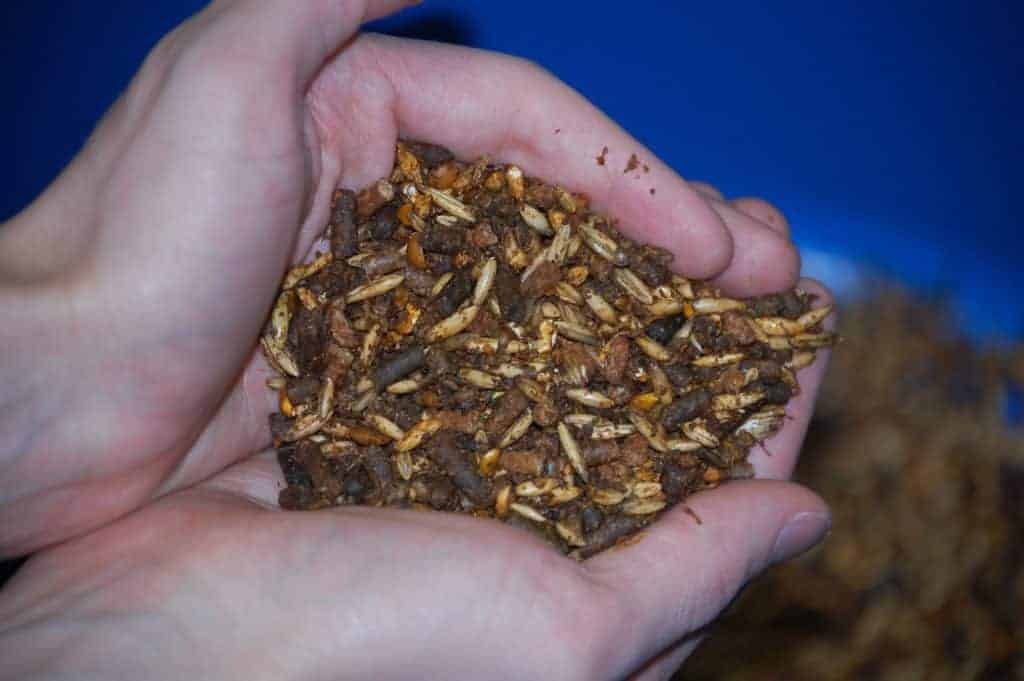 Holding Grain in Hands; magnesium